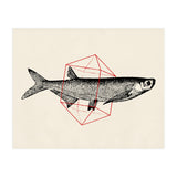 Fish In Geometrics II (Print Only) thumbnail