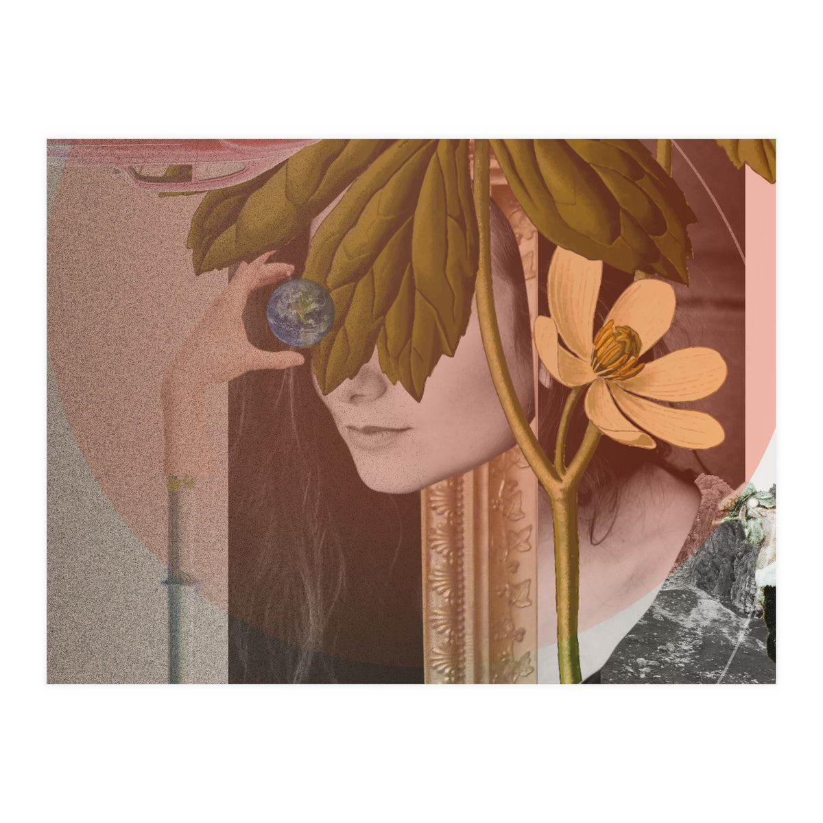 Dreamland Division · B (Print Only)