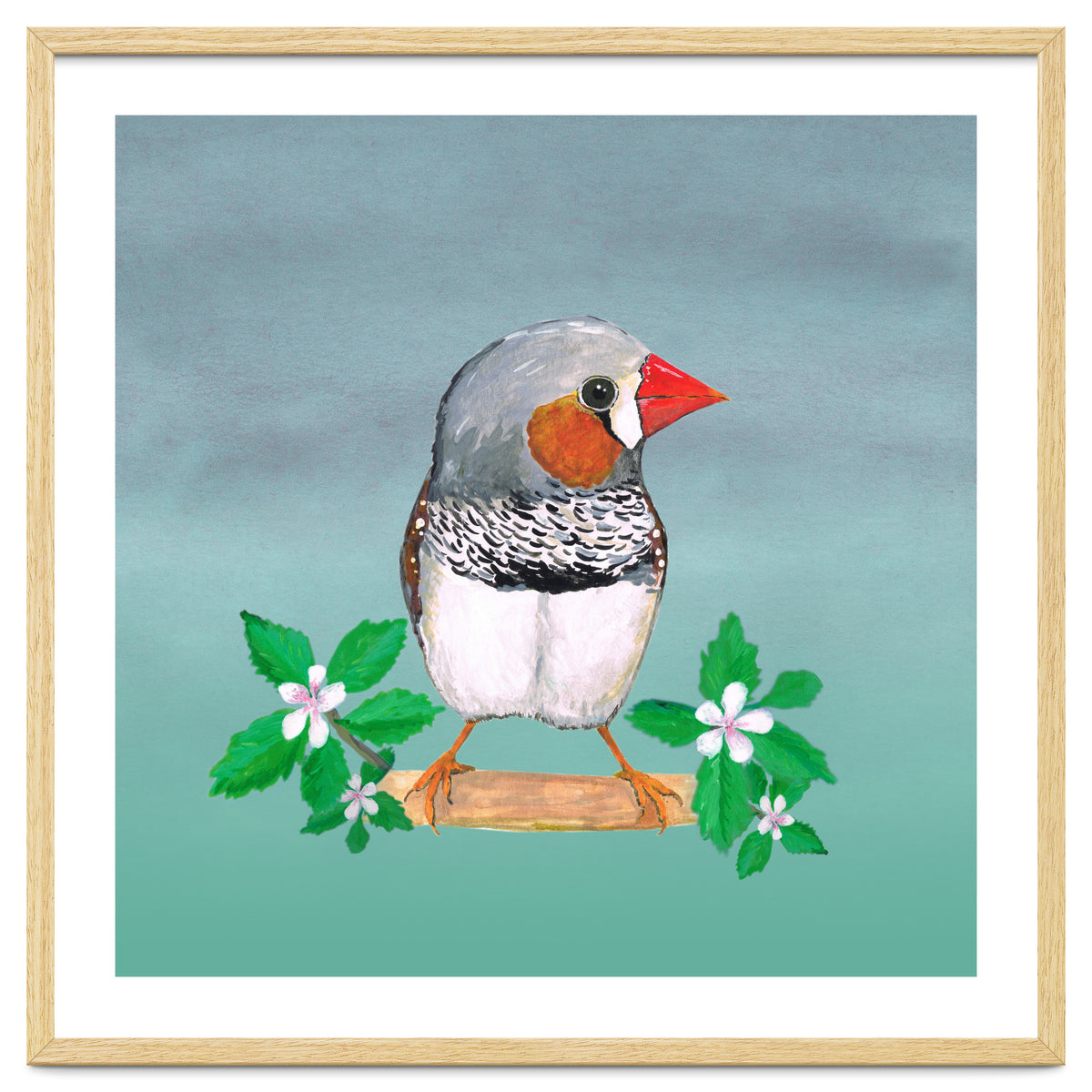 Zebra finch