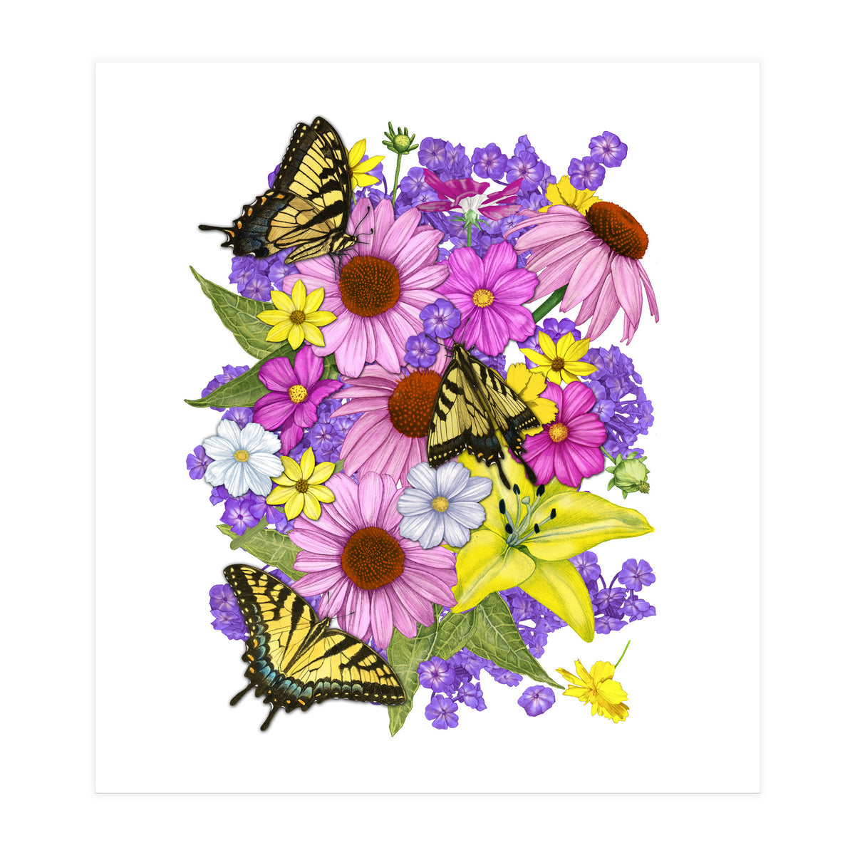 Corn Flowers and Swallowtails (Print Only)