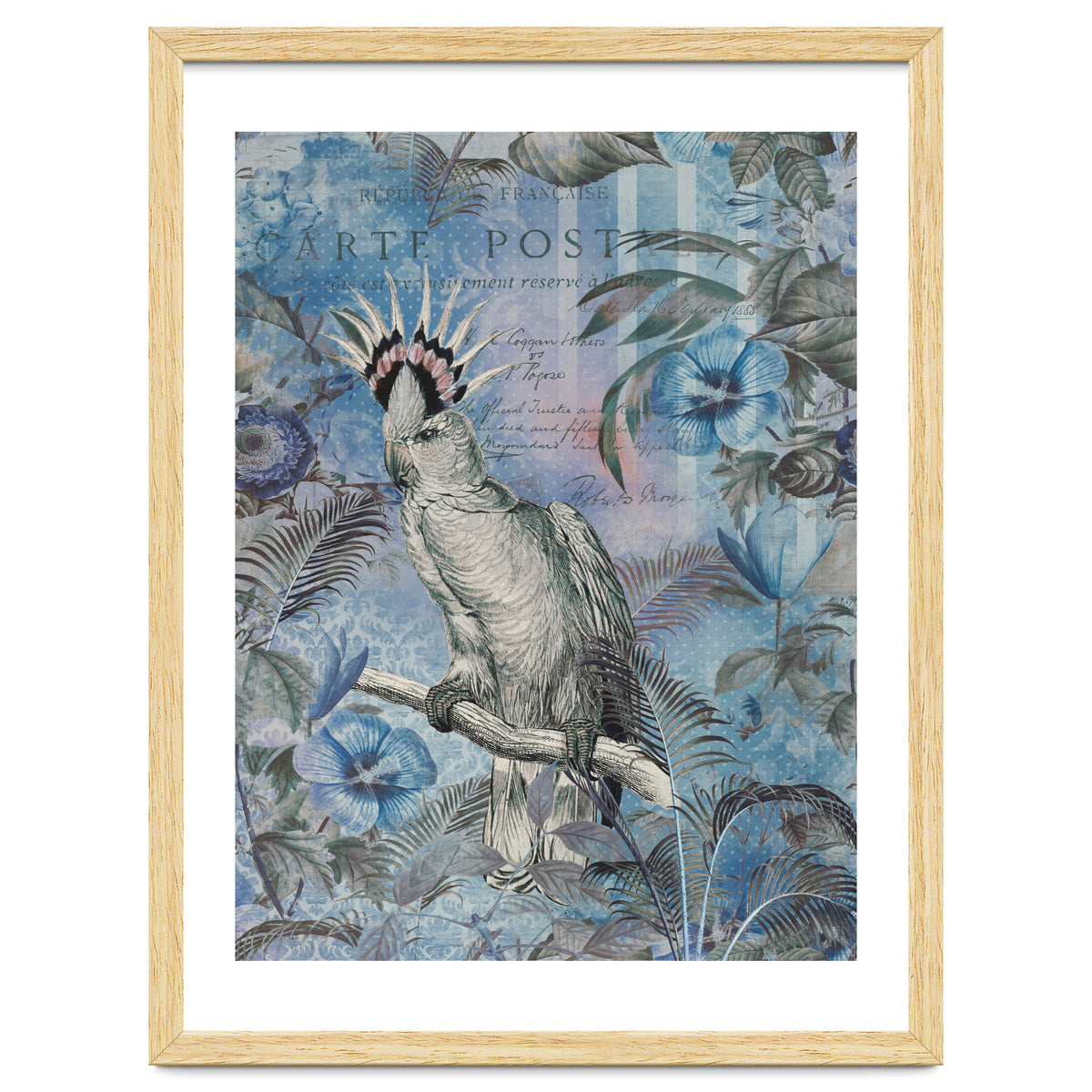 Jungle Cockatoo Blue