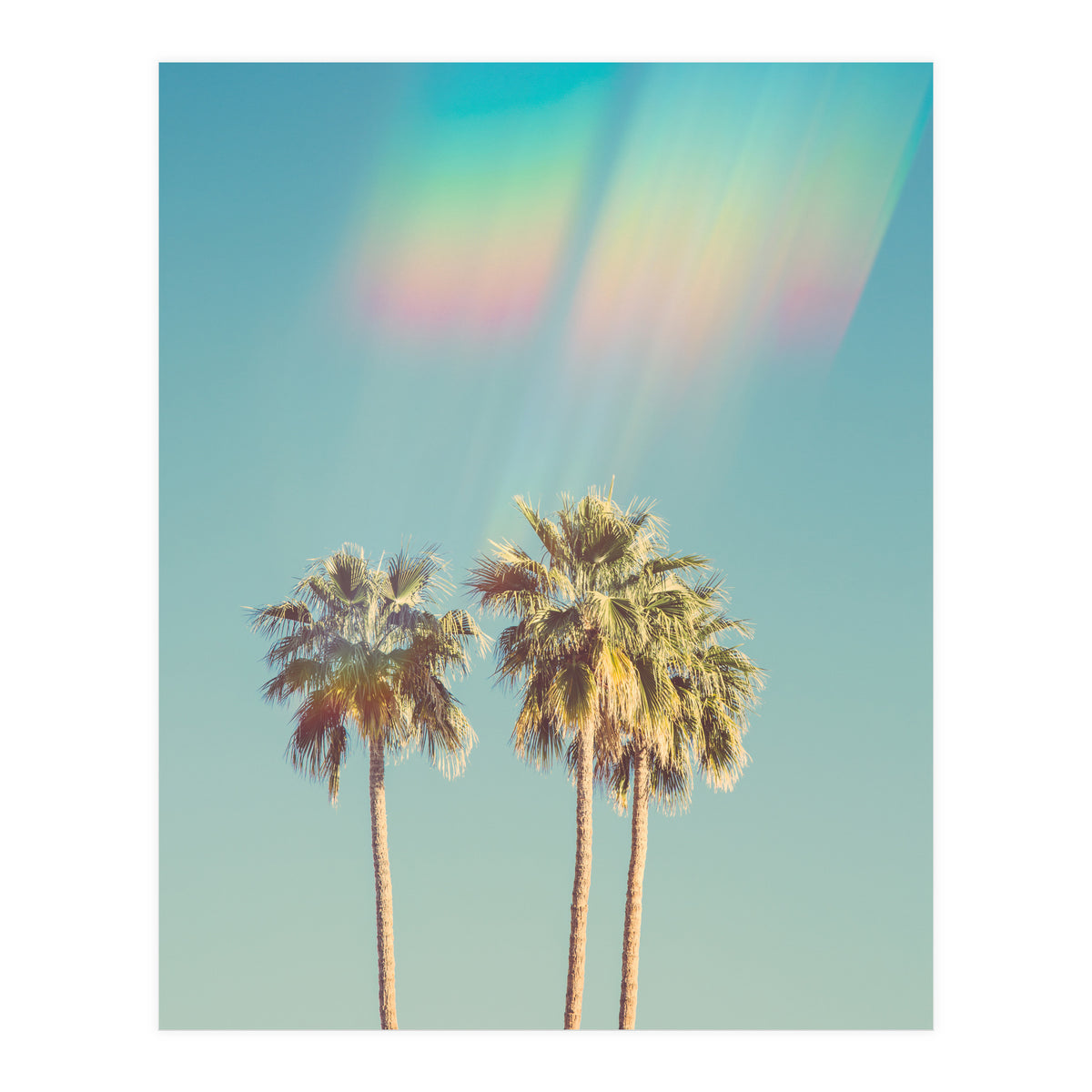 Groovy California Palm Trees (Print Only)