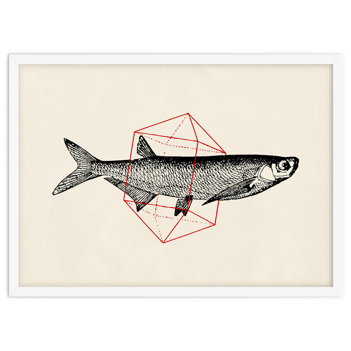 Fish In Geometrics II