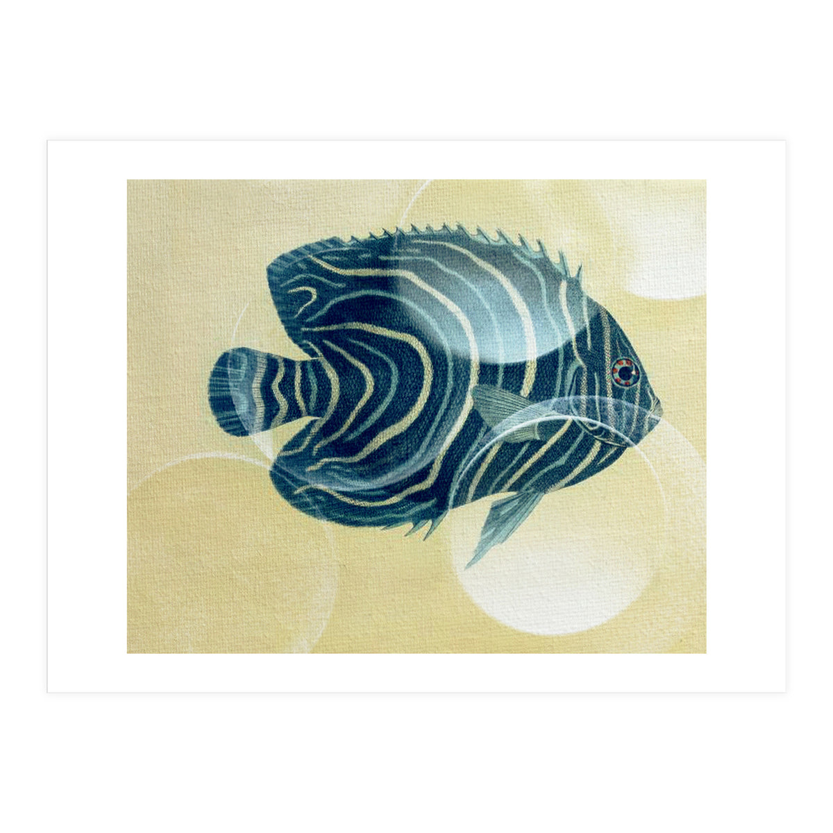 Fish Between Circles (Print Only)