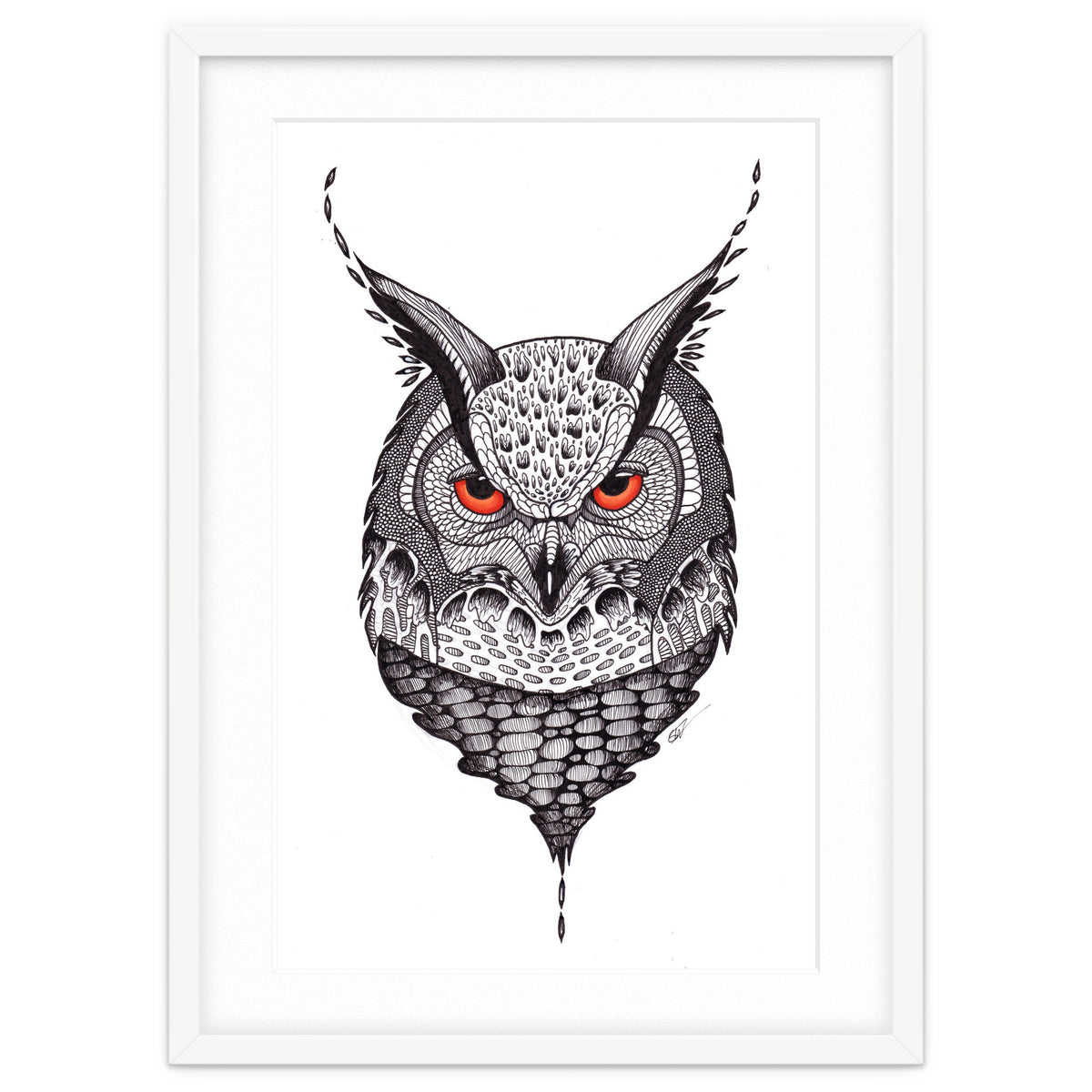 Owl