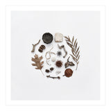 Treasures From Nature No. 2 - Square (Print Only) thumbnail