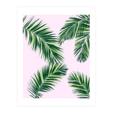 Palmfrond (Print Only) thumbnail