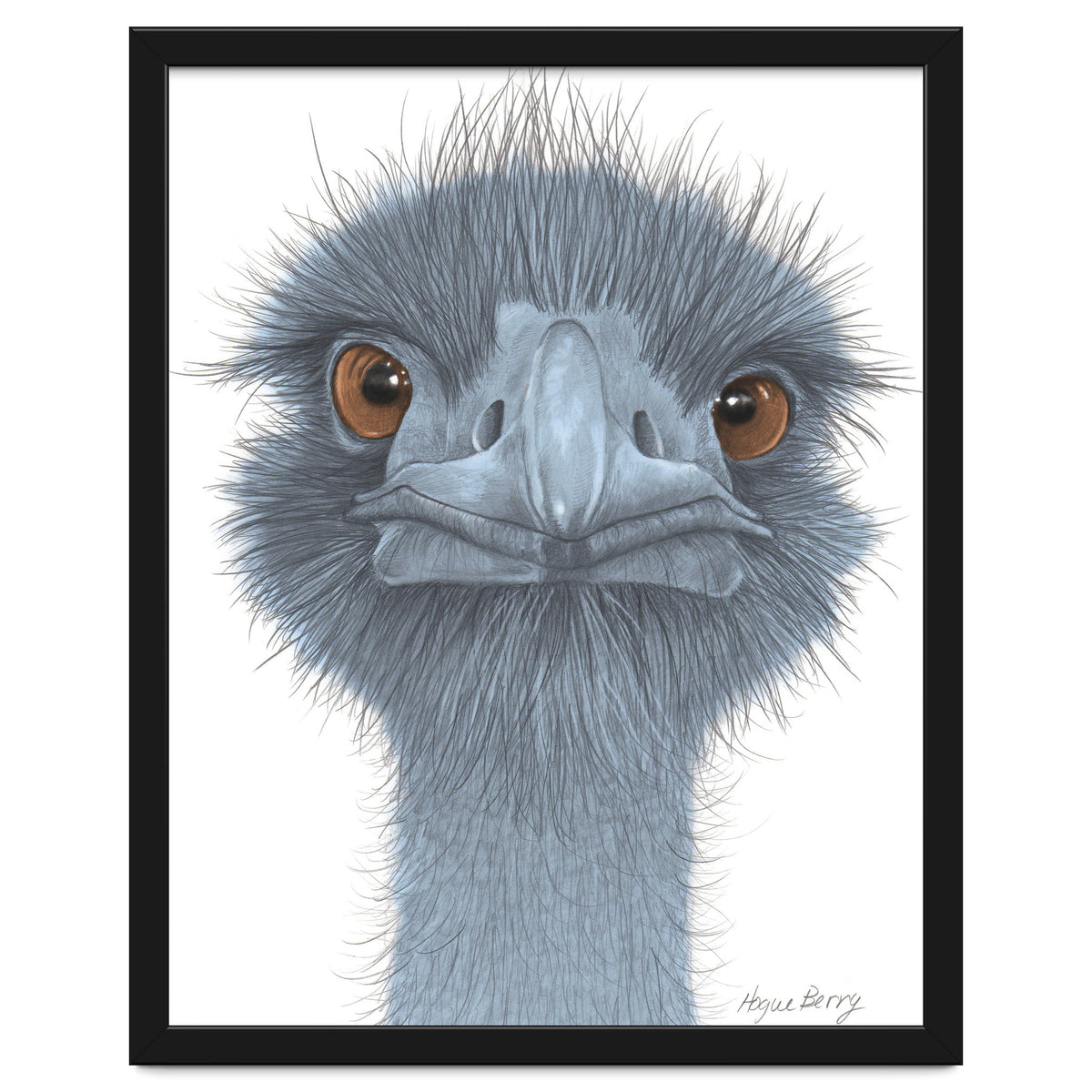The Blue Emu