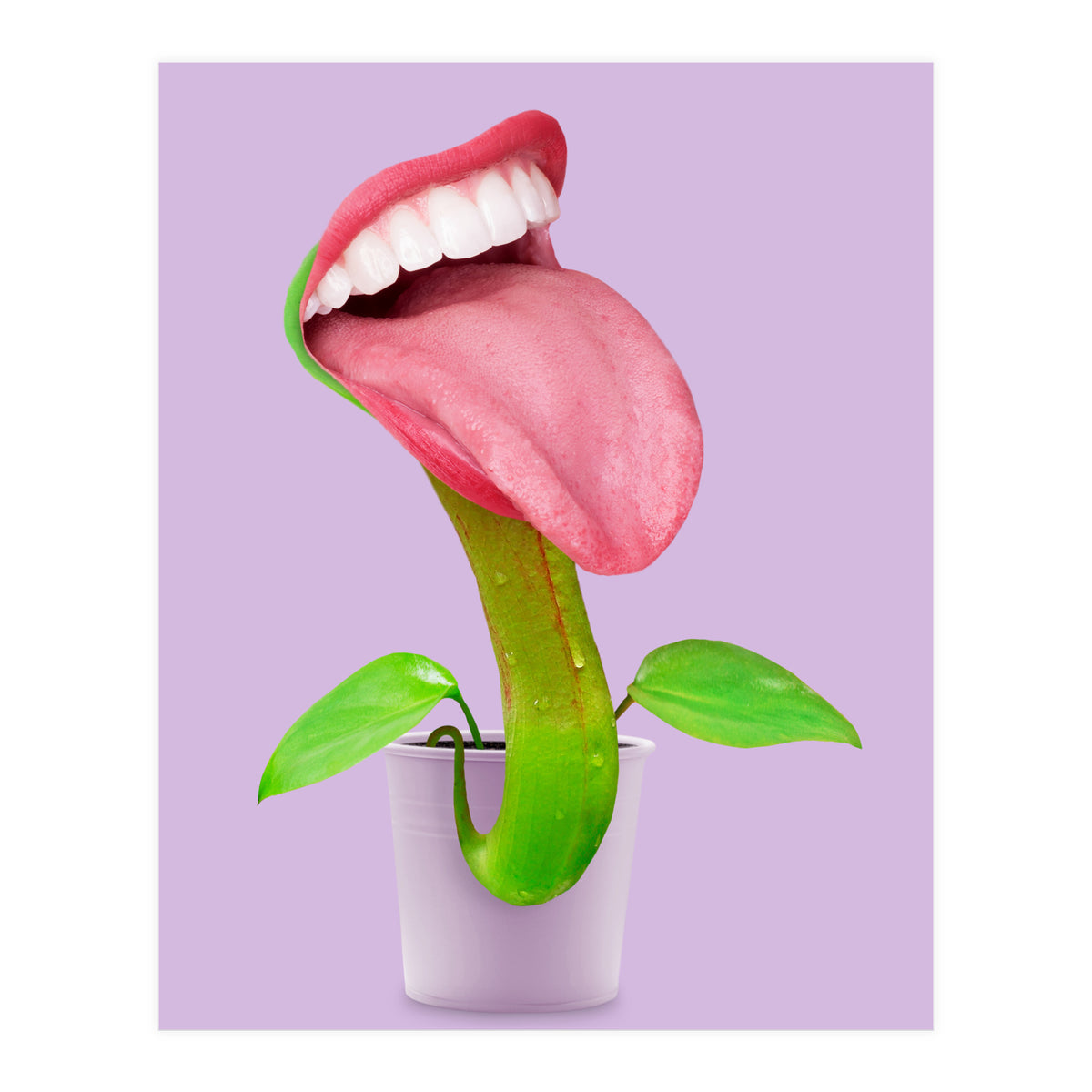 Carnivorous Plant (Print Only)