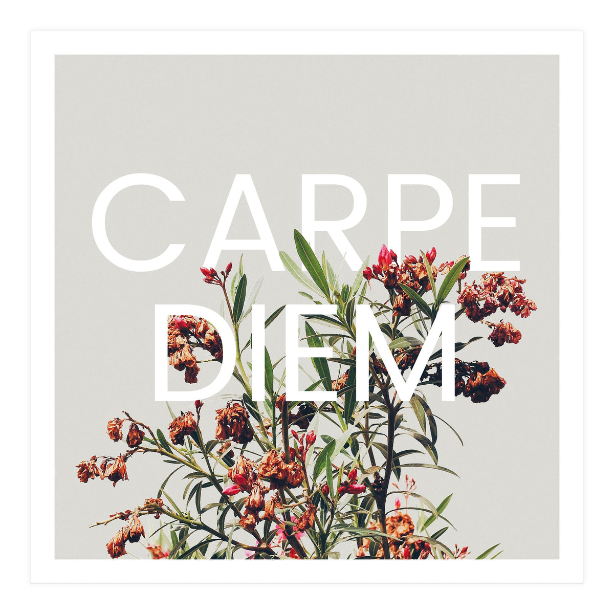 Carpe Diem (Print Only)