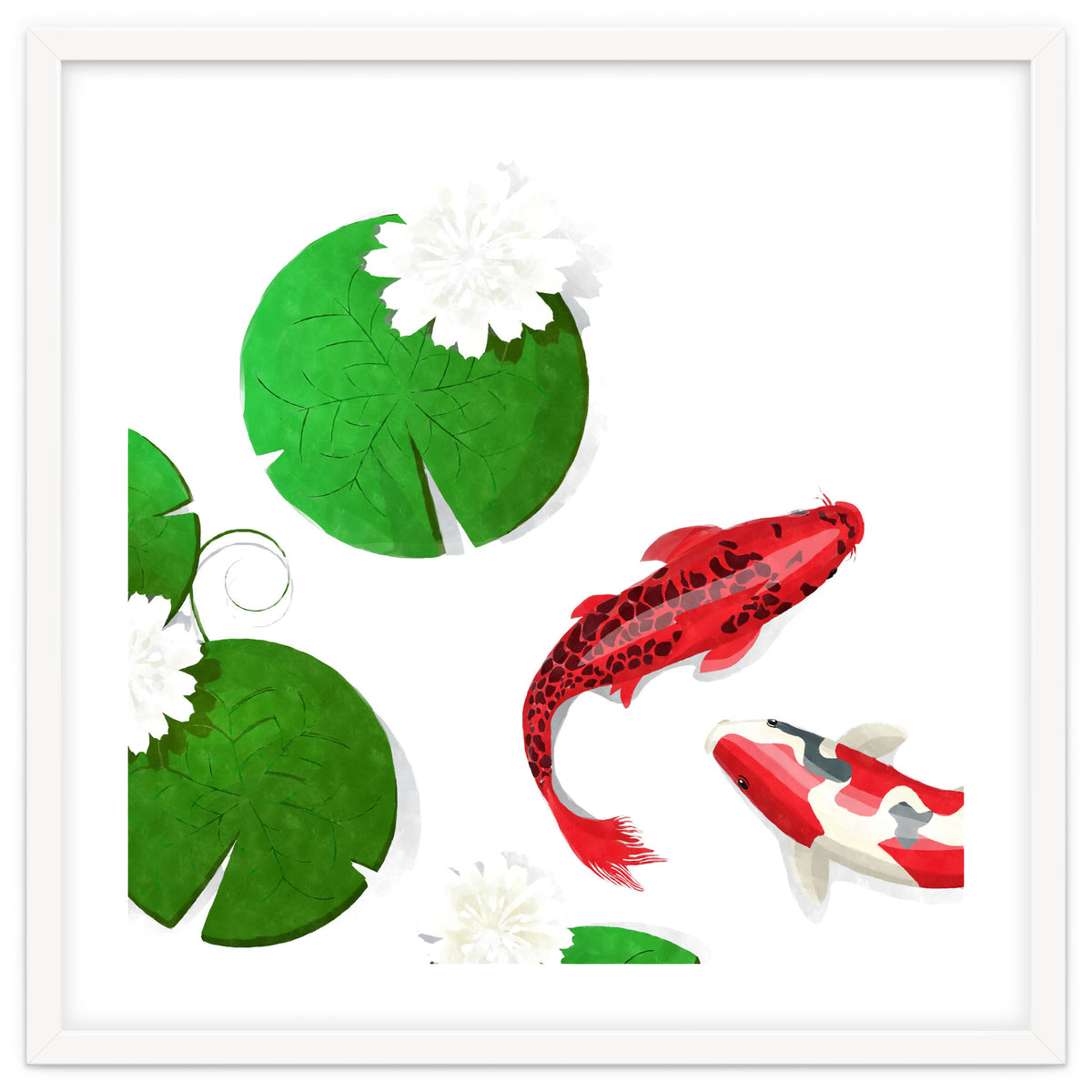 Watercolor Koi Fish Background