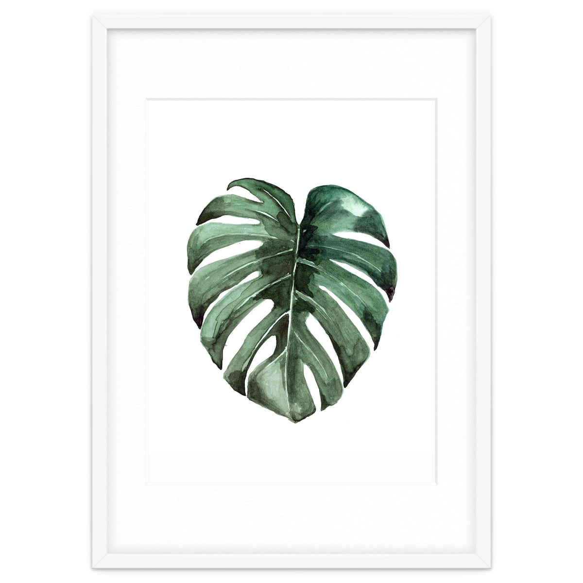 Botanical Illustration Monstera Deliciosa