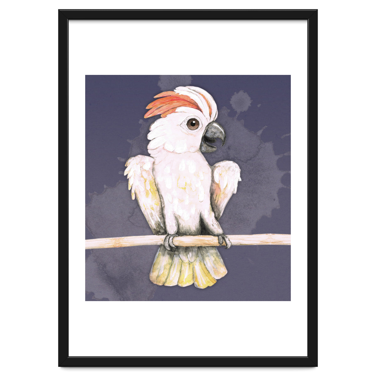 Salmon-crested cockatoo