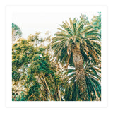 Newport (Print Only) thumbnail