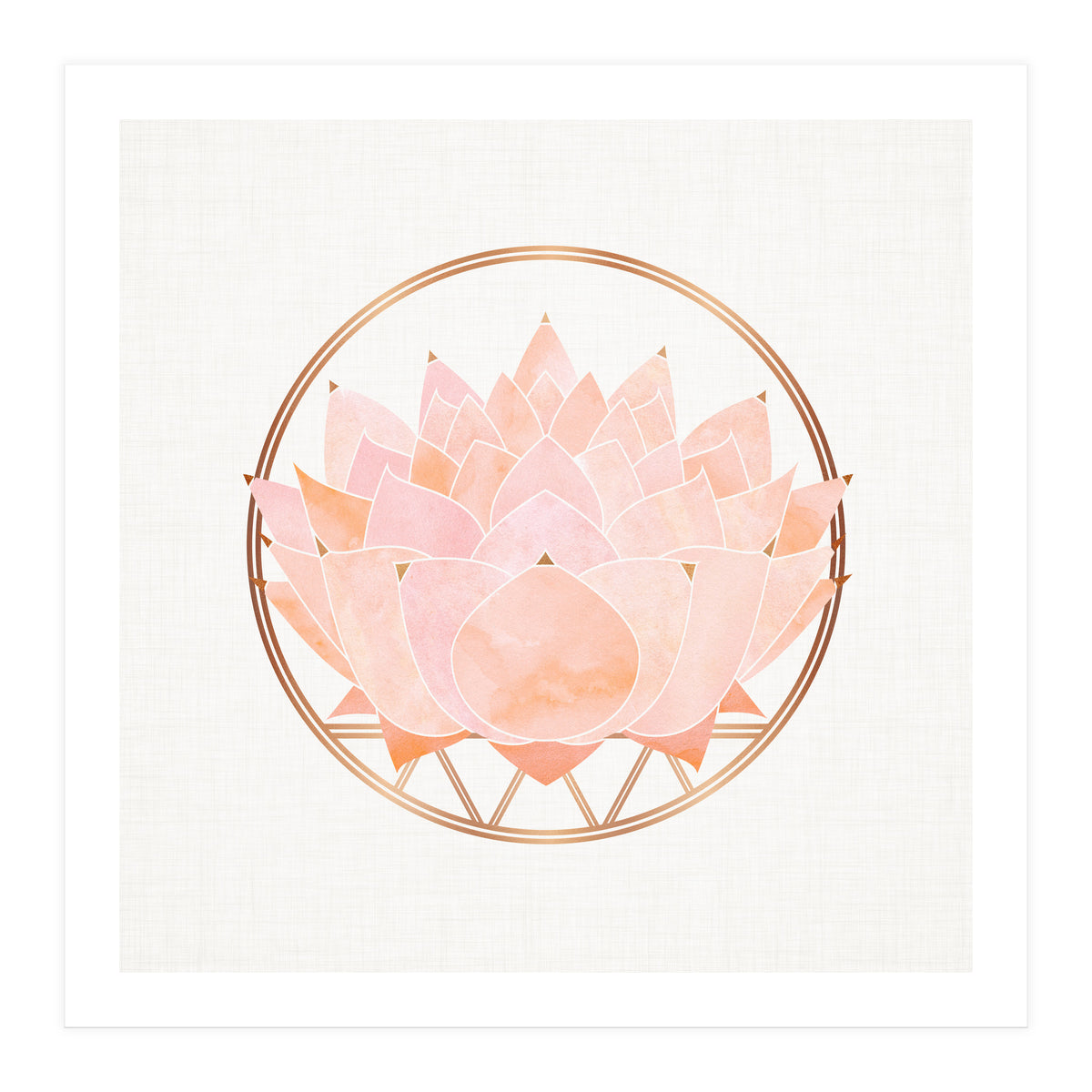 Peach Succulent  Blossom (Print Only)