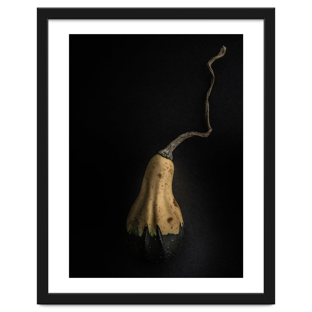 Gourds No 12 Color Version