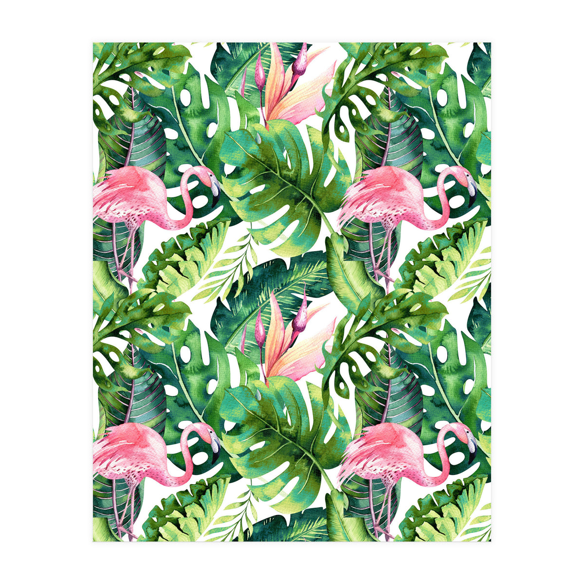 Flamingo Tropical II (Print Only)