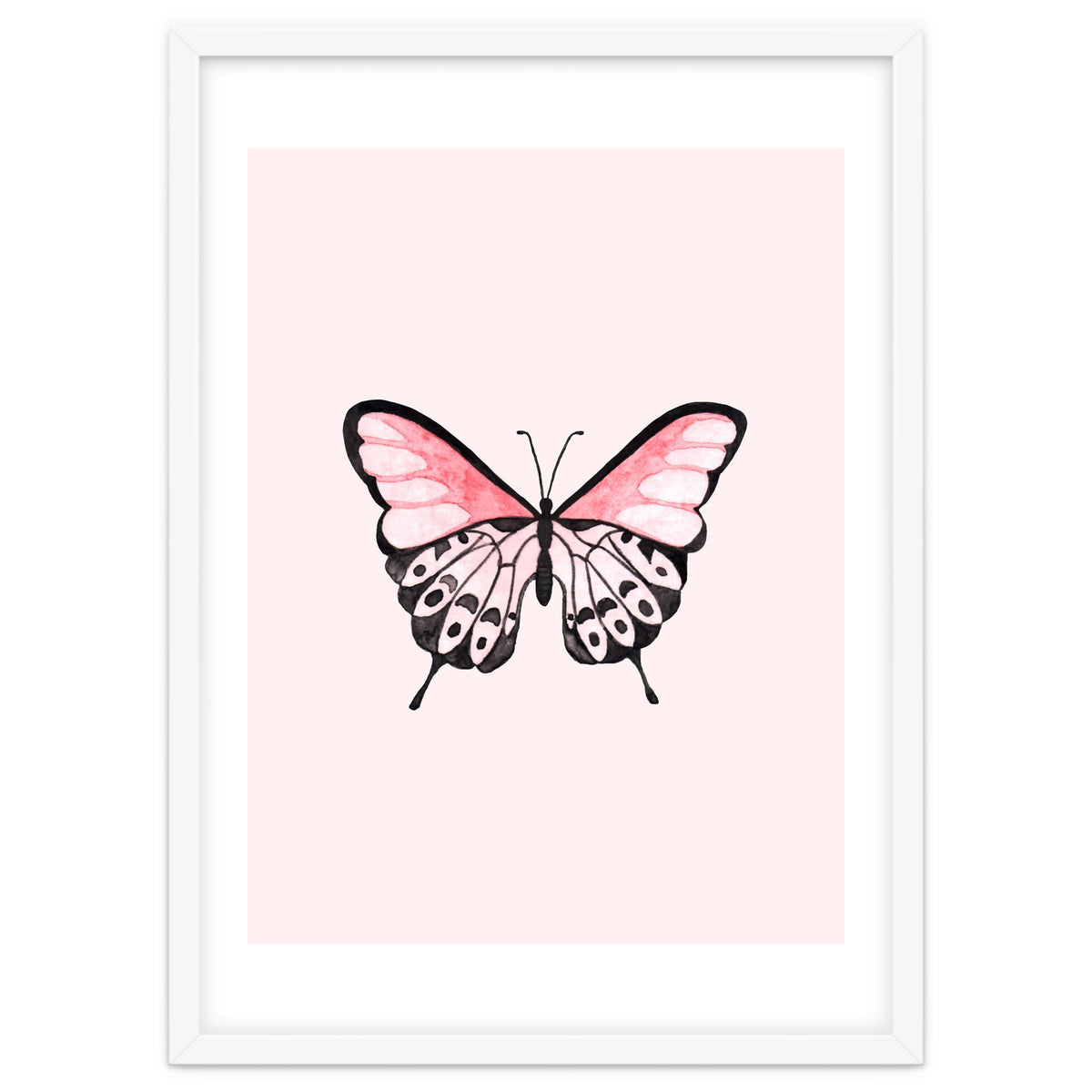 Pink Butterfly