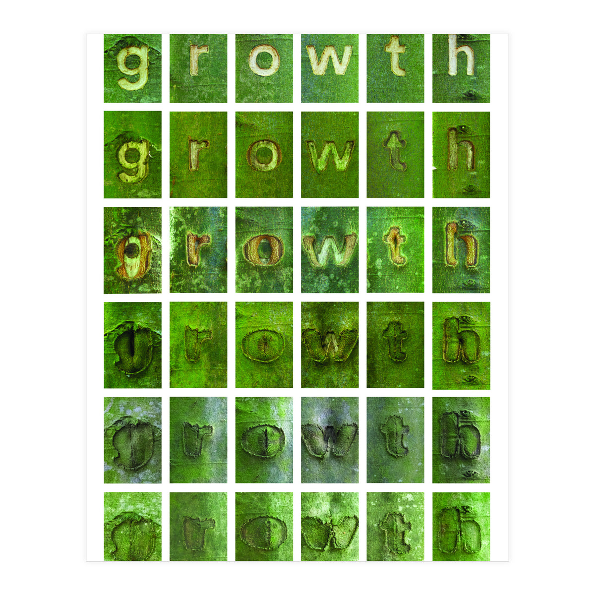 growth (Print Only)