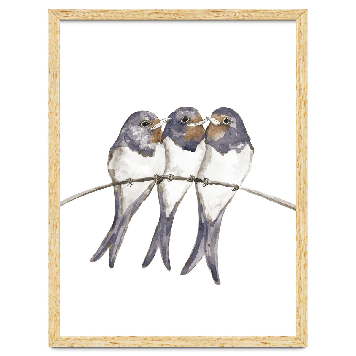 Three young swallows