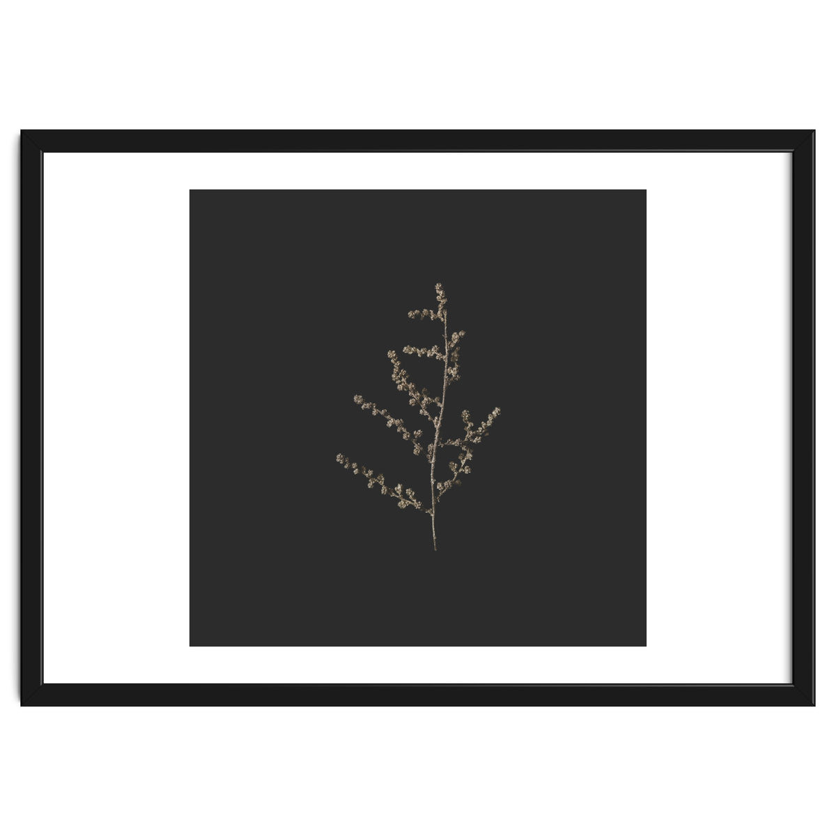 Dainty Botanicals in Gold and Black - Square