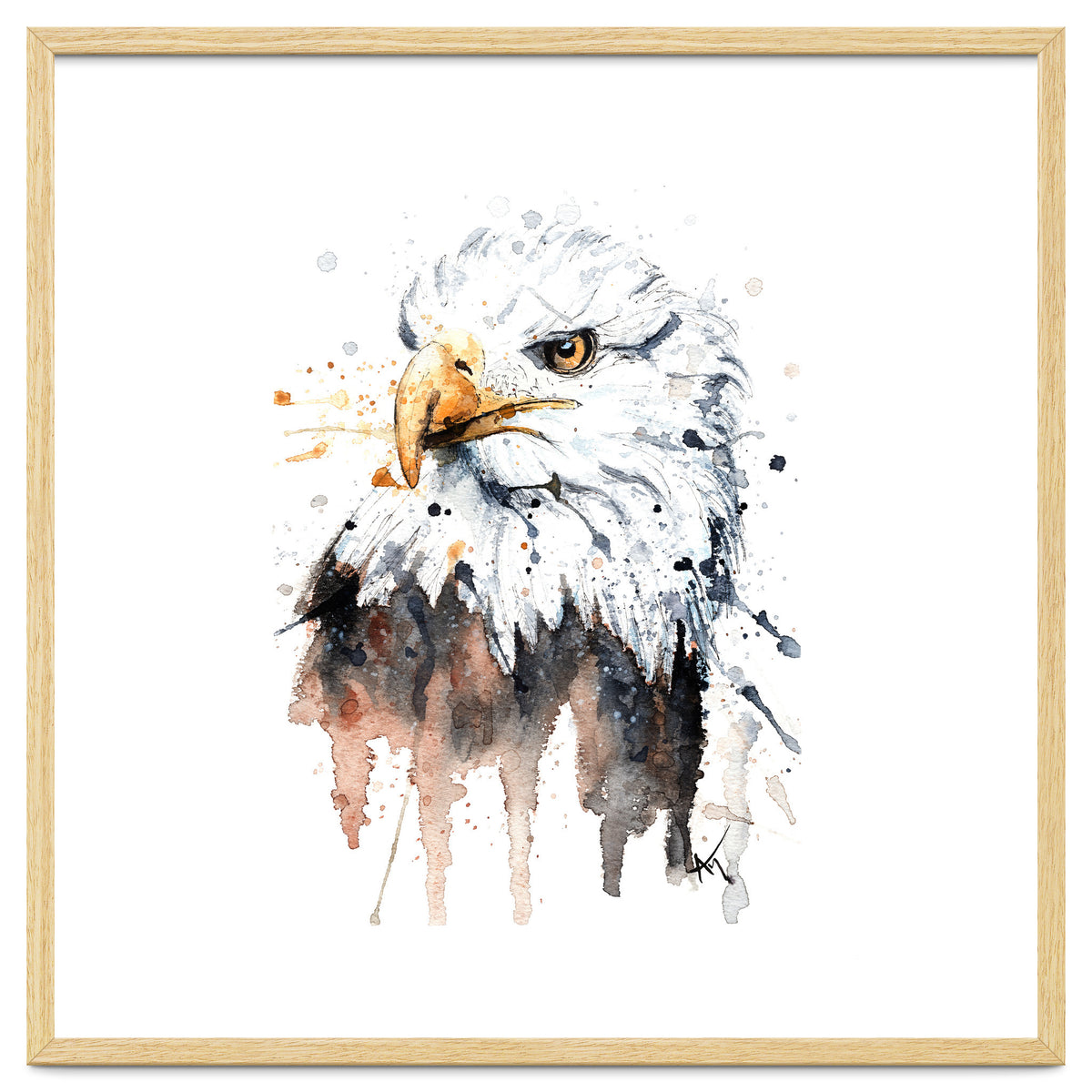 Bald Eagle - Wildlife Collection