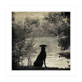 Waiting for you (Print Only) thumbnail
