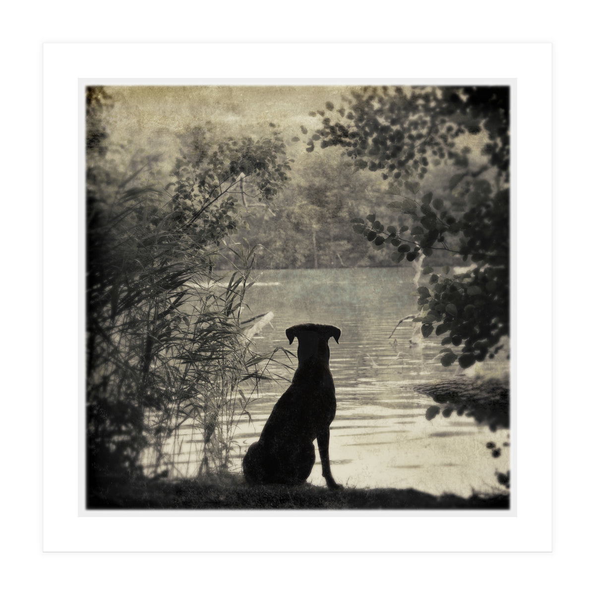 Waiting for you (Print Only)