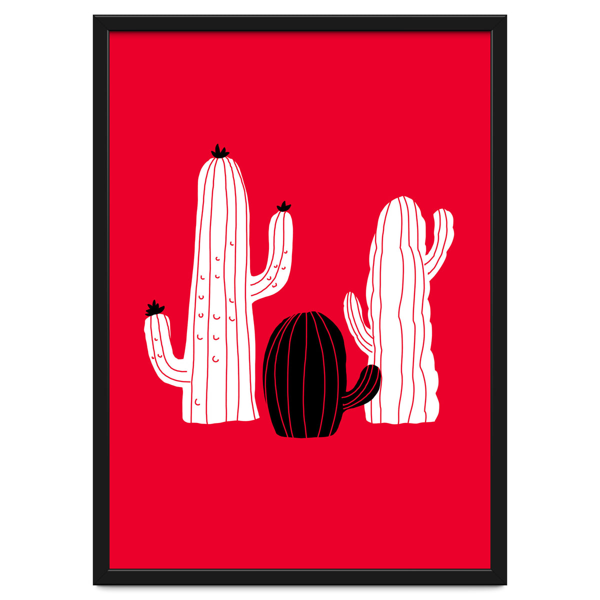 Cactus
