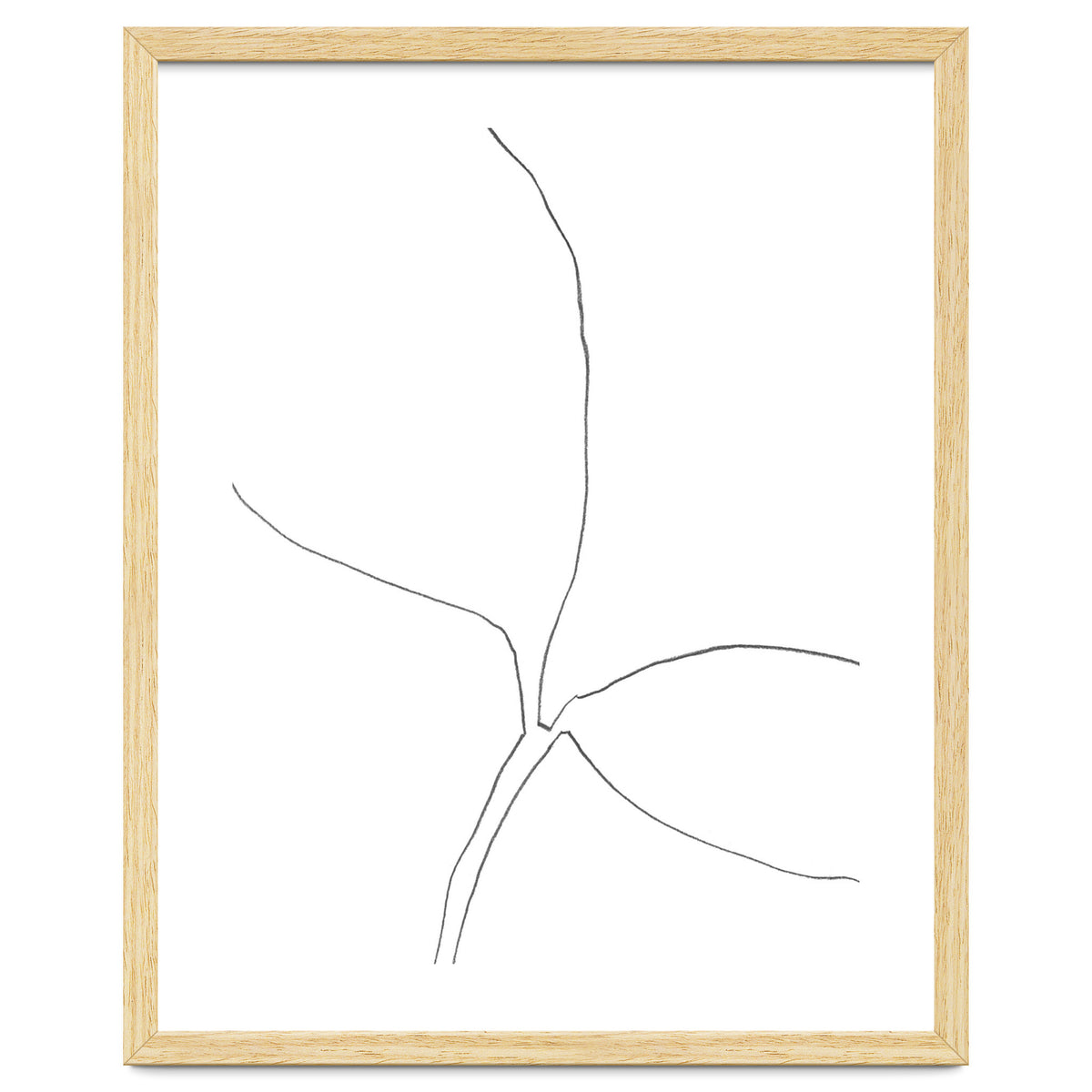 Seedling Leaning Right