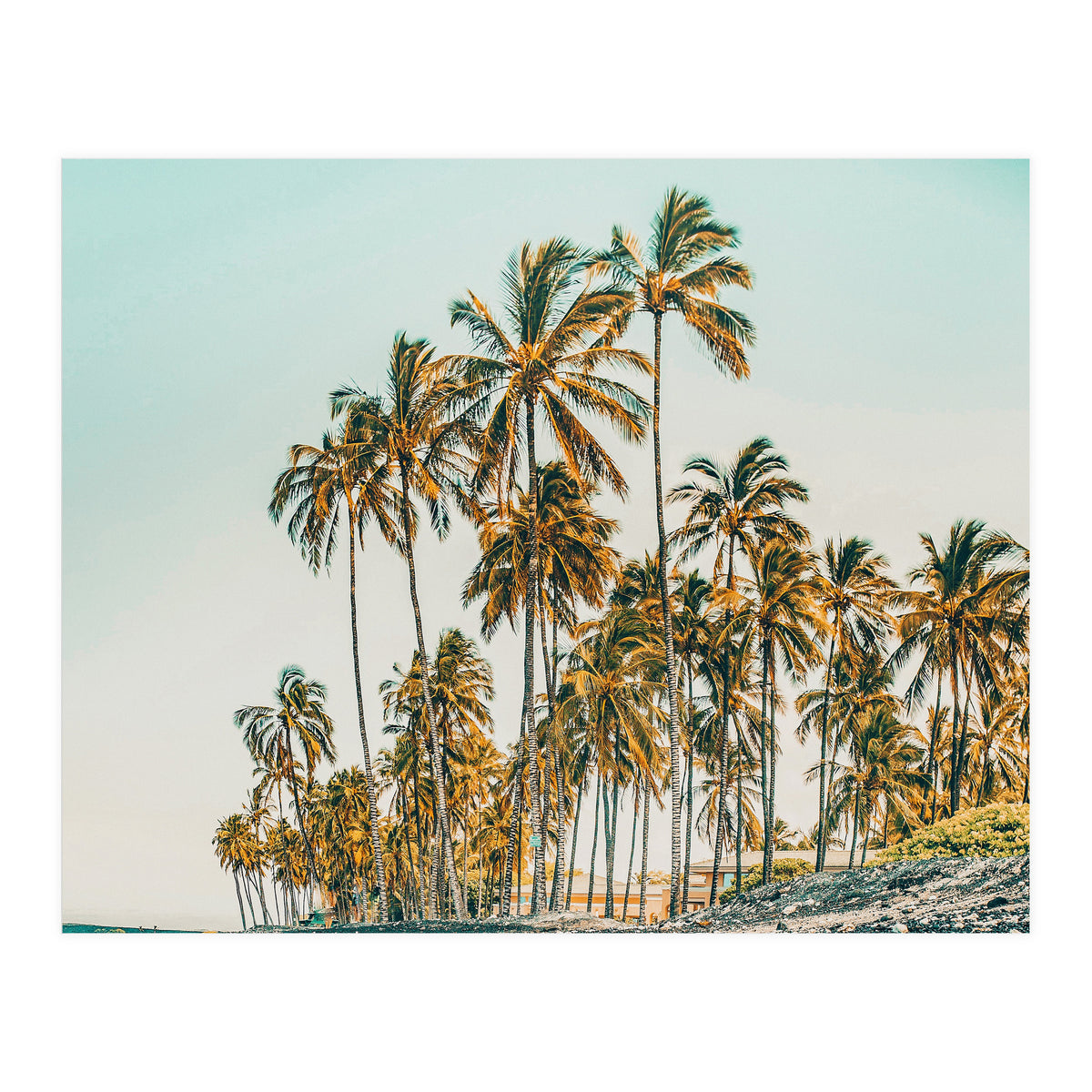 Island Life III (Print Only)