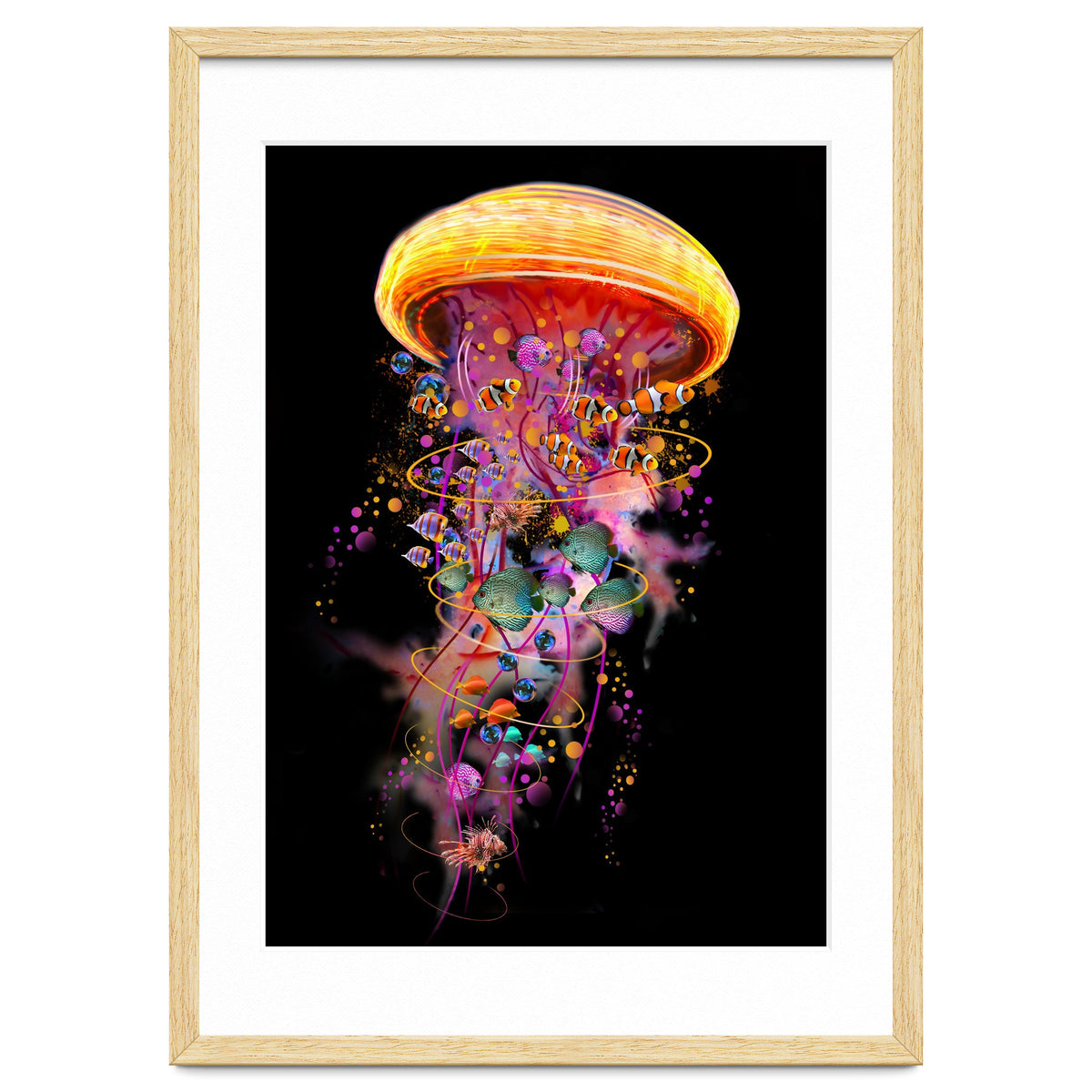 Jelly Fish Ride Summer2018 Dbh