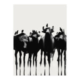 Bufalo  (Print Only) thumbnail