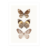 Cc Butterflies 06 (Print Only) thumbnail