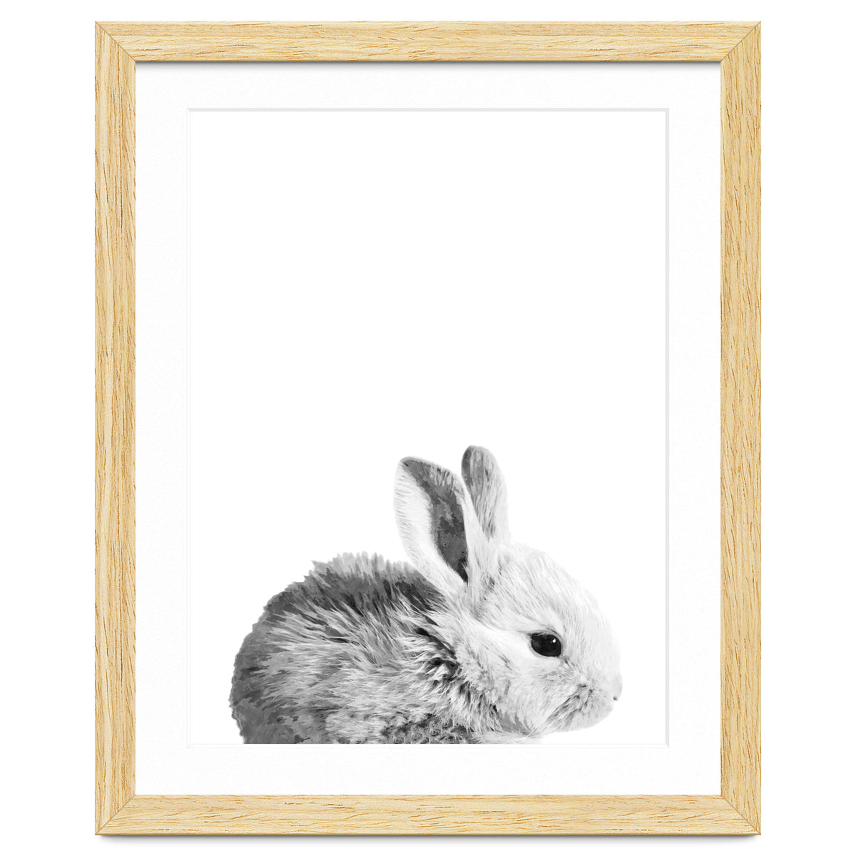 Black and White Bunny Portrait