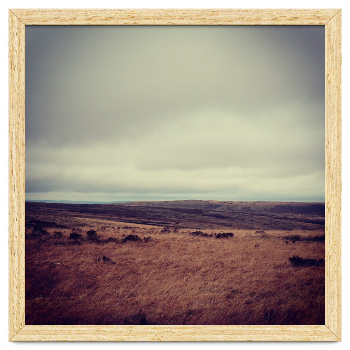 Bleak winter landscape of Saddleworth Moor