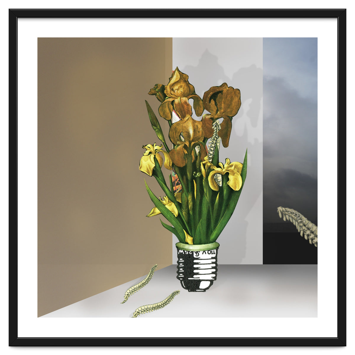 Das Licht Der Pflanze