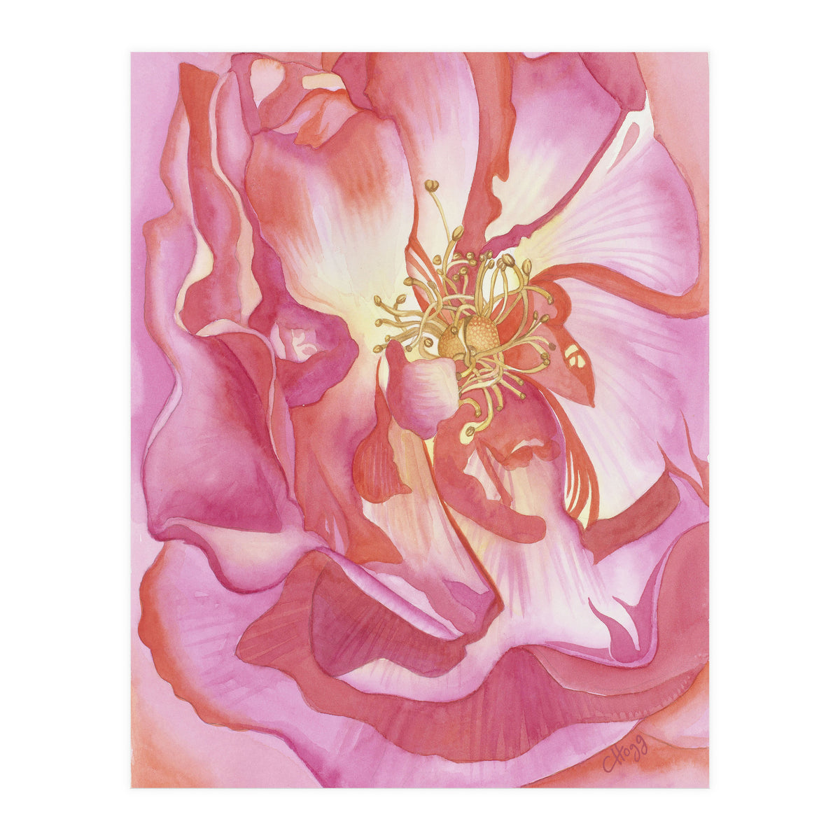 Love Is A Rose (Print Only)