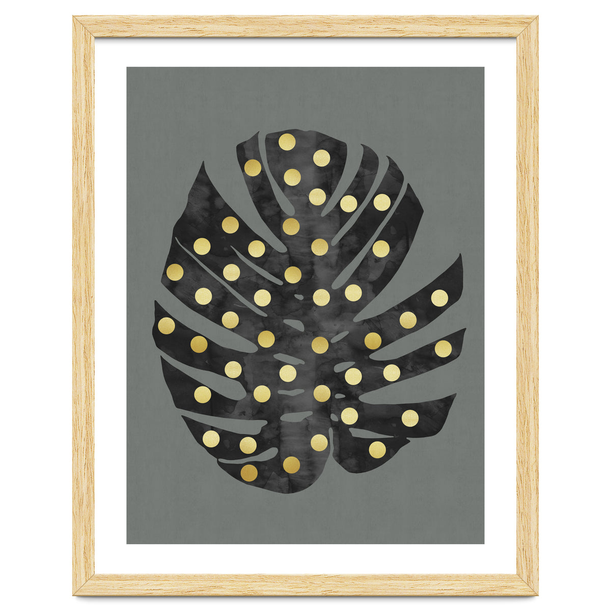 Monstera Deliciosa V