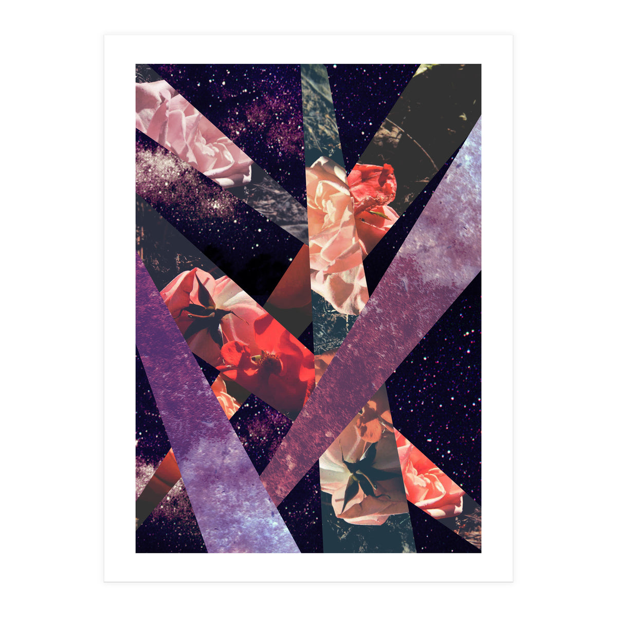 Roses In The Galaxy (Print Only)