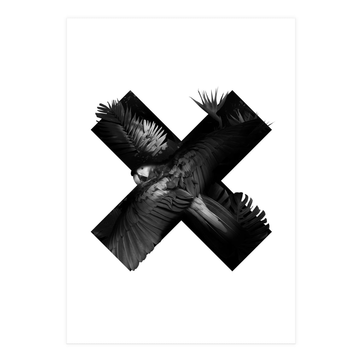 exotic nature (Print Only)