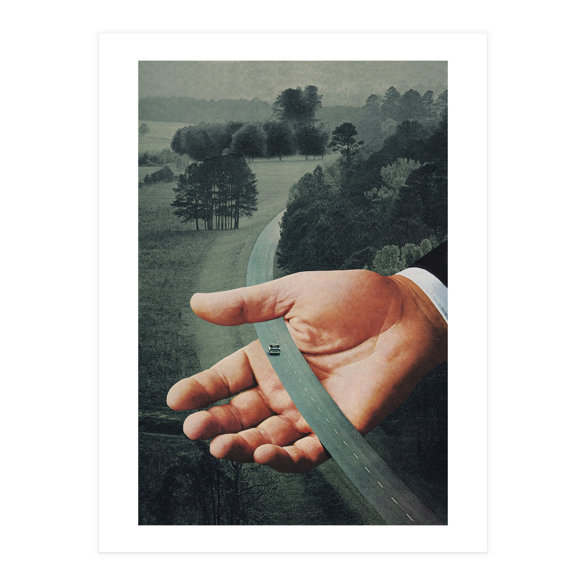 Comfort Zone (Print Only)