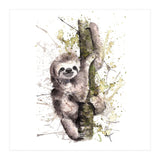 Sloth - Wildlife Collection (Print Only) thumbnail