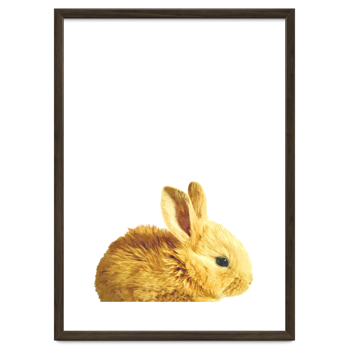 Bunny Portrait