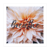 Breathe  (Print Only) thumbnail