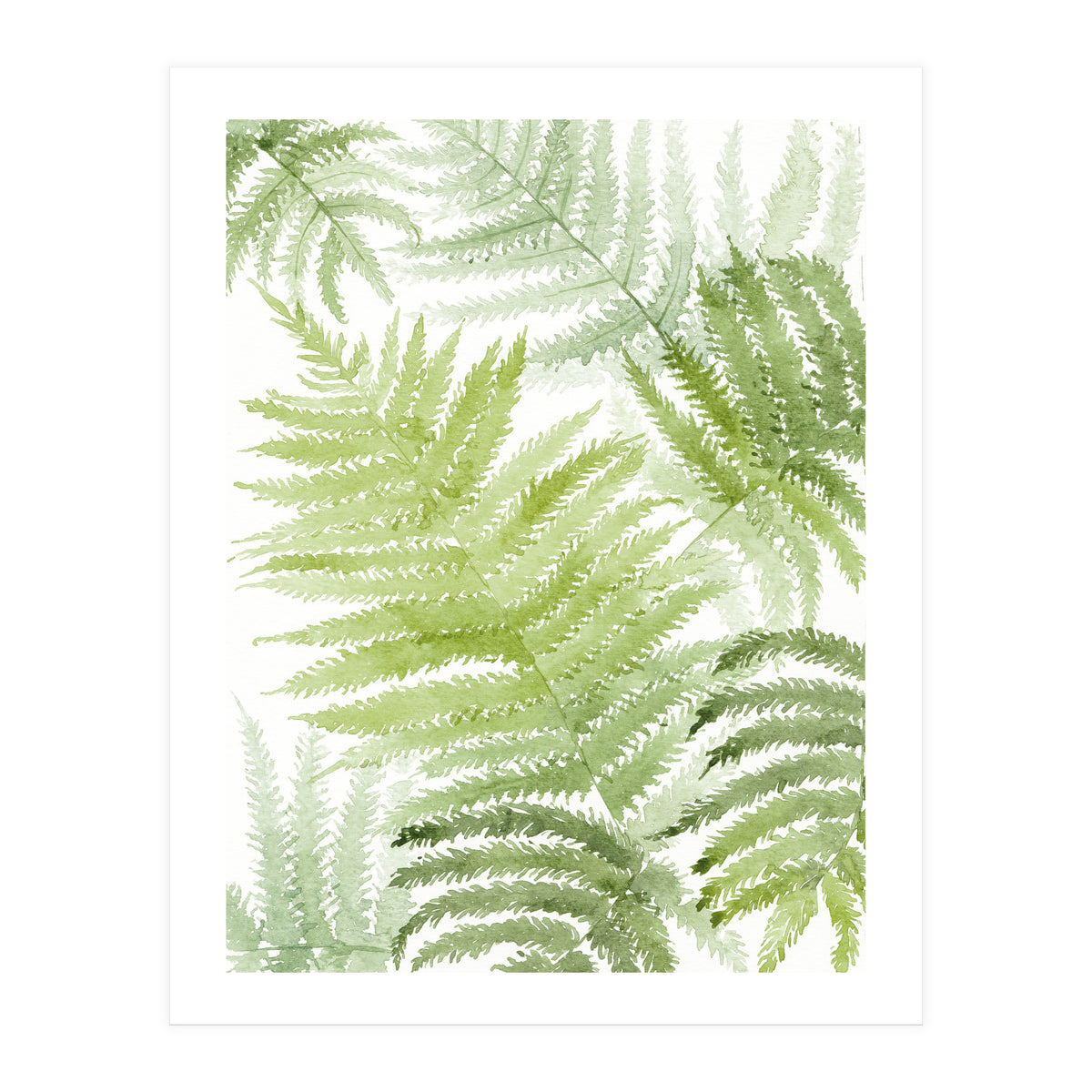 Samambaia  (Print Only)