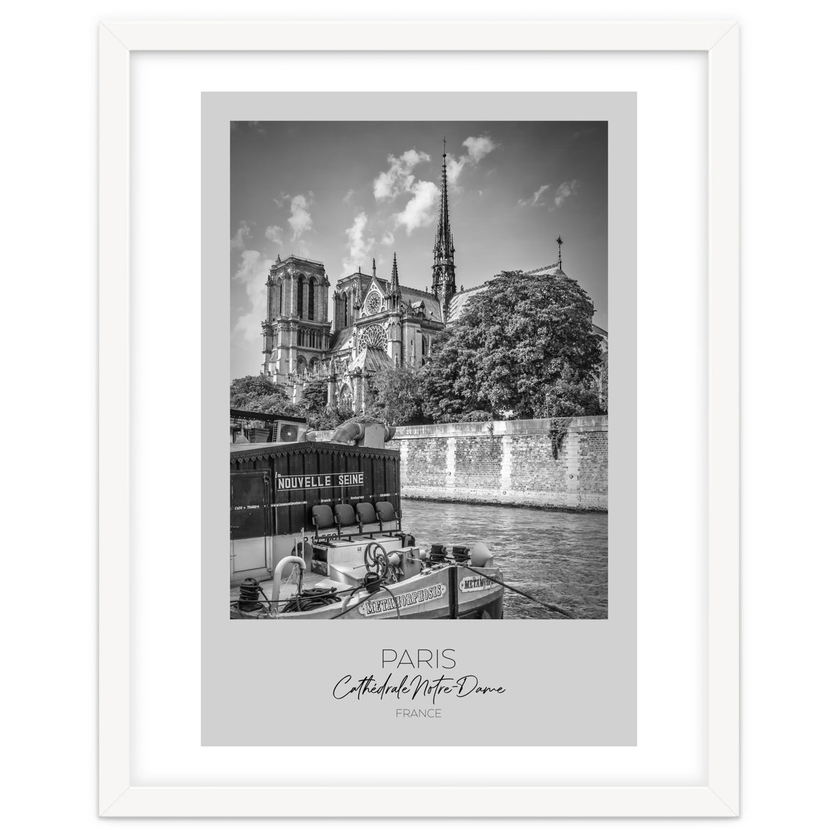 In focus: PARIS Cathedral Notre-Dame