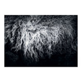 the sheep (Print Only) thumbnail