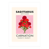 Sagittarius Birth Flower Carnation  (Print Only) thumbnail