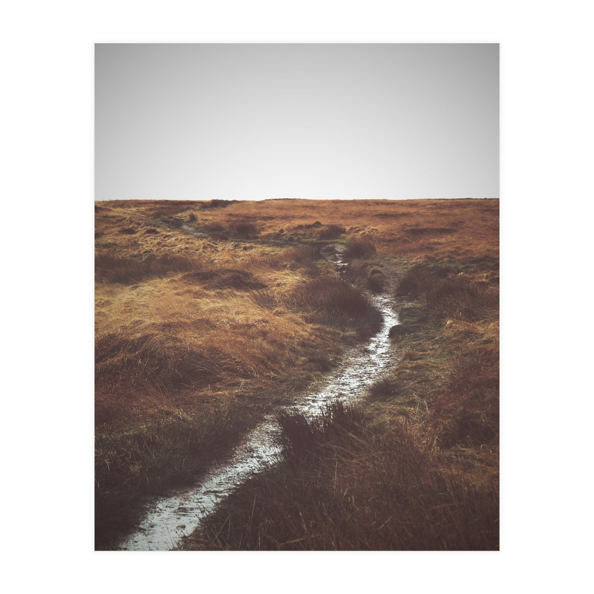 Bleak winter landscape of Saddleworth Moor  (Print Only)